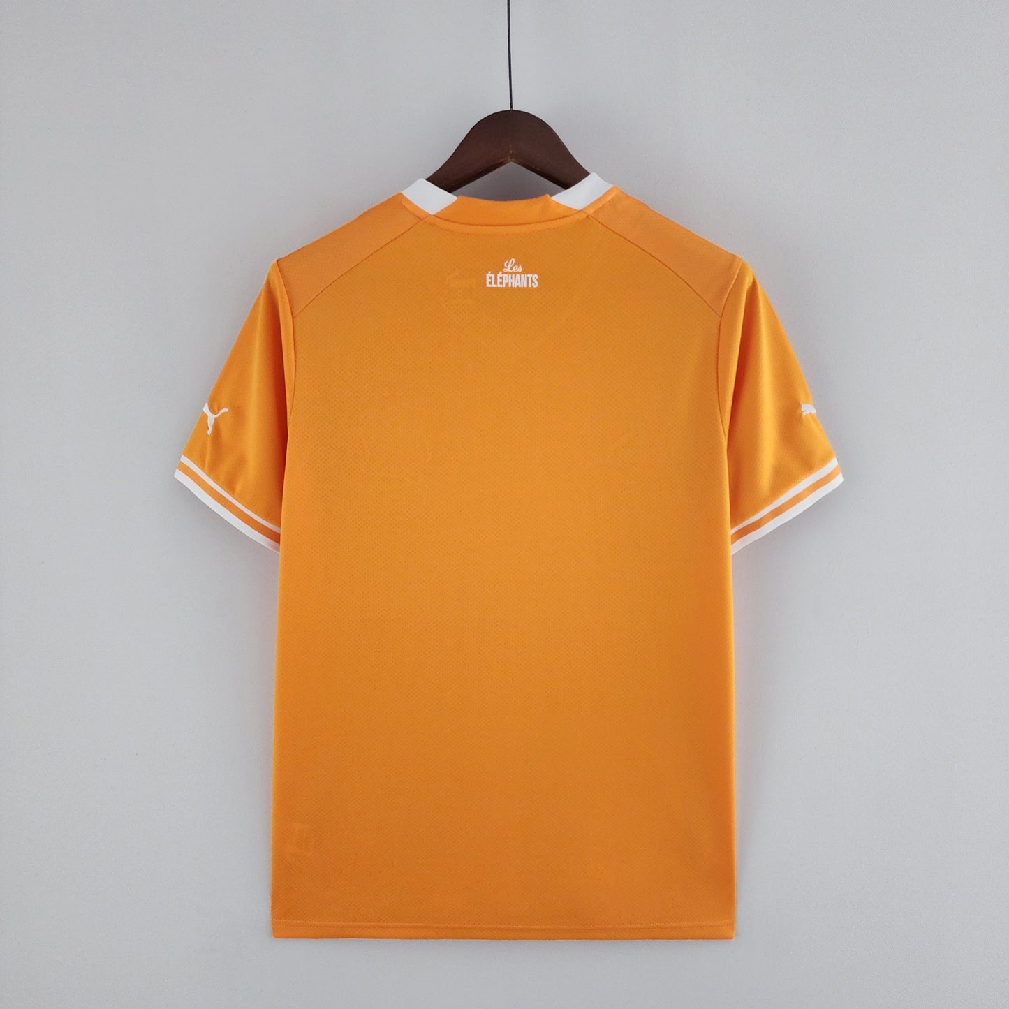 Ivory Coast Home Jersey 2022/23