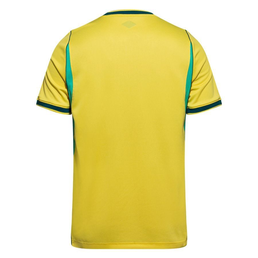 Brésil 2026 Domicile — Coupe du Monde