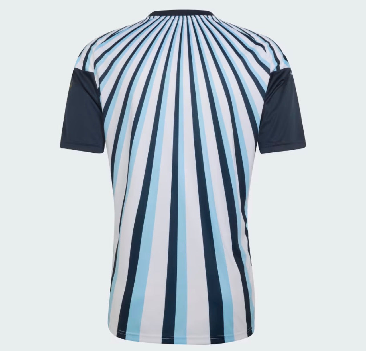 Maillot d'Échauffement Argentine - Coupe du Monde 2026