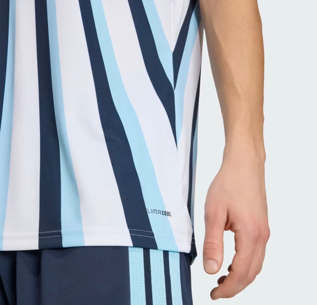 Maillot d'Échauffement Argentine - Coupe du Monde 2026